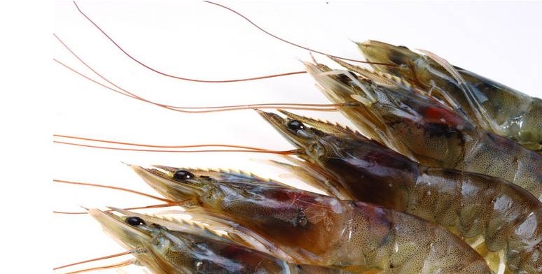 1721263328519268.jpg 微信圖片編輯_20240718084202.jpg